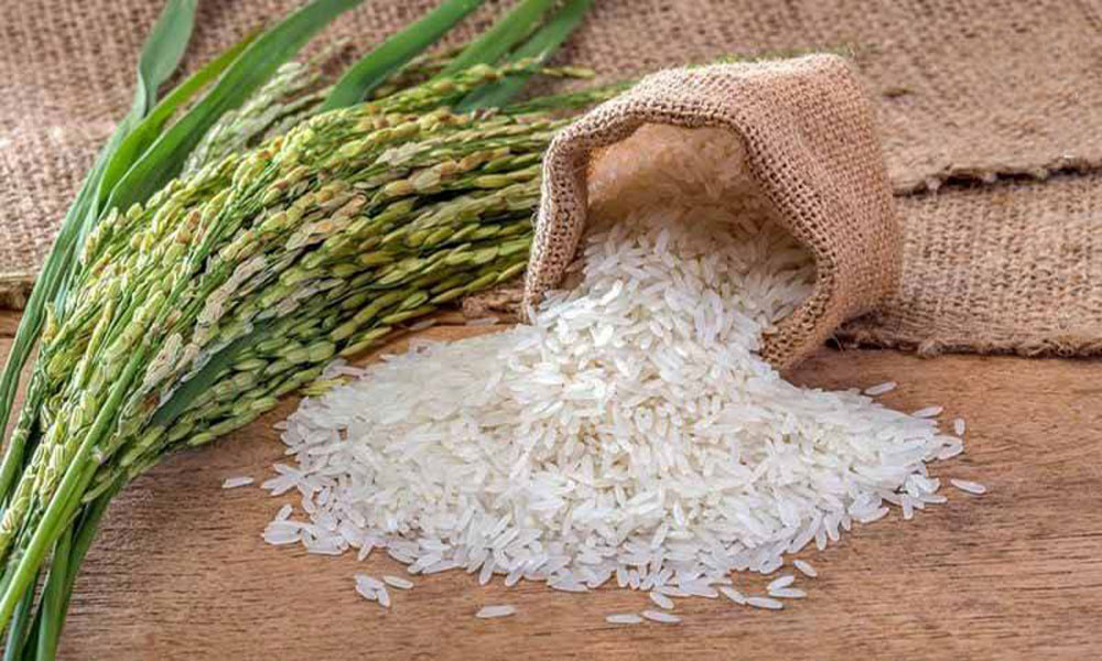 خرید عمده بهترین برنج ایرانی