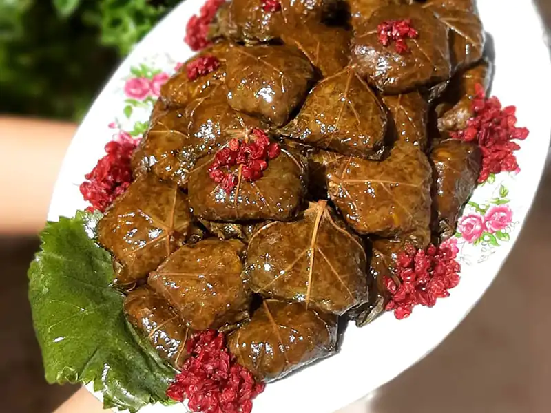 طرز تهیه دلمه برگ مو